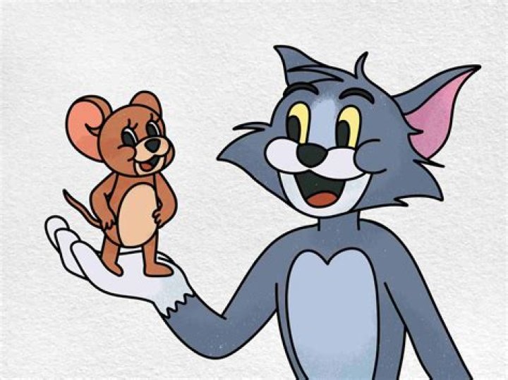 Meet Djordje and Marko ·
